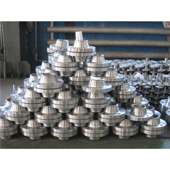 DN10-DN2000 ASTM / DIN Стандардна Ss A182 304L 316L плоча фалсификувана челична прирабница 
